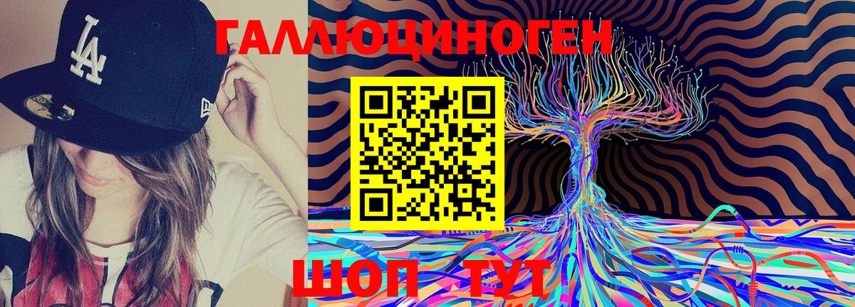 купить   Вход с VPN  Уфа  Псилоцибиновые грибы GOLDEN TEACHER 